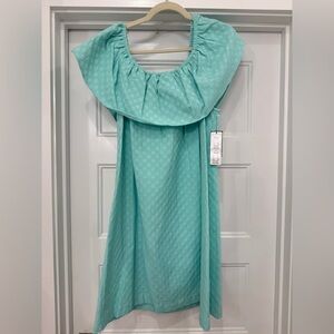 Crown and Ivy Mint Textured Dress XL.